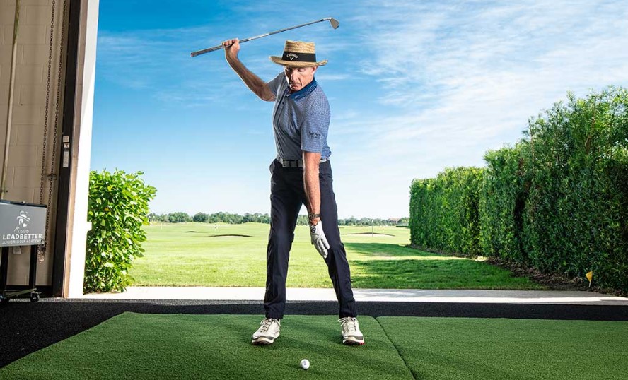 David Leadbetter